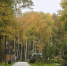 Картинка - Regions.Ru