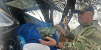 Молодь сазана выпустили в реку во Владимирской области для восполнения возможного ущерба природе при дорожных работах - Администрация области