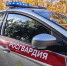 В Брянской области за неделю росгвардейцы поймали больше 30 злоумышленников - Комсомольская Правда