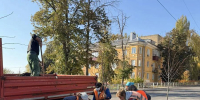 Этой осенью микрорайон Сокол украсят почти 100 новых деревьев - Город Липецк