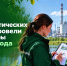 Более 300 профилактических визитов провели сотрудники Минэкологии РТ за 9 месяцев 2026 года - Министерство экологии