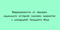 Липецкие врачи‑инфекционисты рассказали, как удалось спасти пациентку с лихорадкой Западного Нила - Народное слово