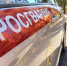 Брянские росгвардейцы задержали двоих парней за ночной слив бензина - БрянскToday.Ru