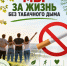 Как курение влияет на подростка! - Центр соцобслуживания населения