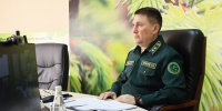 В Рослесхозе обсудили вопросы повышения качества данных и оказания государственных услуг во ФГИС ЛК - Министерство лесного хозяйства