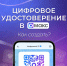 Около 12 тысяч костромичей с помощью специалистов Соцфонда оформили цифровой ID для подтверждения льгот - Островский муниципальный район