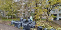 Почти 2800 мешков листвы и мусора собрали на субботниках в Вологде - OnlineVologda.Ru