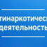 В Яковлевском округе ведется планомерная работа по уничтожению наркосодержащих растений. - Яковлевский муниципальный округ