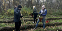 Волжско Камское межрегиональное управление Росприроднадзора приняло участие во Всероссийской акции «Сохраним лес» - Росприроднадзор
