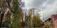IMG_20261012_171102_601 - О чём Говорит Смоленск
