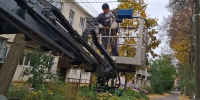 Два дня на холоде, под дождём, без еды и воды: в Железногорске спасли кошку Марси - Zhel.City