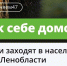 Эксперты рассказали о правилах поведения при встрече с дикими животными - Сетевое издание Киришский факел