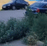 В Волжском признали незаконной парковку на зелёной зоне, за которую жителю выписали штраф в 5 тысяч рублей - Блокнот Волжского