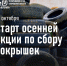 В Кирове с 15 октября начнут принимать старые покрышки - Newsler.Ru