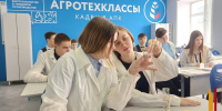 В Воронежской области открыли 151 агрокласс для подготовки будущих специалистов АПК - РИА Воронеж