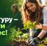 Победители «БумБатла» смогут вырастить собственный именной лес! - Министерство экологии