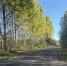 Картинка - Regions.Ru