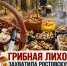 Грибная охота по-ростовски: заядлый грибник рассказал о любителях тихой охоты на Дону - Bloknot-Rostov.Ru