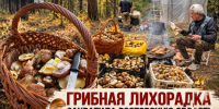 Грибная охота по-ростовски: заядлый грибник рассказал о любителях тихой охоты на Дону - Bloknot-Rostov.Ru