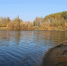 В Новомосковске планируют благоустроить Урванский водоем - ИА Тульские новости