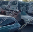 Воронежцы сняли на видео нападение автомобилиста на водителя автобуса - ГТРК Воронеж