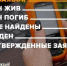 296 человек нашли волонтеры «ЛизаАлерт» за месяц в Ленобласти и Петербурге - Кингисепп-сегодня.рф