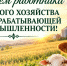 С Днём работников сельского хозяйства и перерабатывающей промышленности! - Главное управление ветеринарии