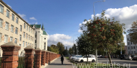 В Липецкой области зарегистрирован первый случай гриппа А - Allelets.Ru
