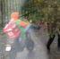 - - V-Kurse.Ru
