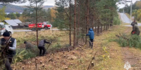 Подготовка к предстоящему пожароопасному сезону: ряд муниципальных образований Иркутской области выполнили план полностью - МЧС Иркутской области