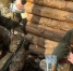 В Мичуринском ГАУ изготовили пробную партию специального питания для военнослужащих - Единая Россия