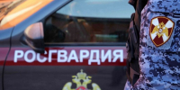 Сотрудники вневедомственной охраны Росгвардии задержали мурманчанку, скрывавшуюся от правосудия - Murman.Ru