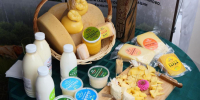 Экспорт калужской продукции АПК вырос на 31,7% - Телерадиокомпания Ника