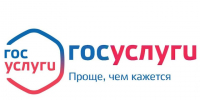 На Госуслугах запущен сервис по жизненной ситуации «Защита от мошенников в сети». - Администрация Петропавловского района