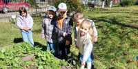 В детском саду № 20 «Кристаллик» прошёл субботник. - Администрация г. Ессентуки