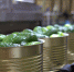 Ключевые факторы успеха «Кубань Продукта» - Газета Огни Кавказа