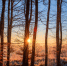 Фото: pixabay.com - KaliningradToday.Ru