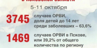 46 человек госпитализировали с ОРВИ за неделю в Псковской области - Pln-Pskov.Ru