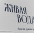 Петербуржцев приглашают на выставку "Живая вода" - Metro Петербург