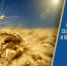 Поздравление с днём работников сельского хозяйства и перерабатывающей промышленности! - Октябрьский район