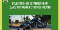 РОДИТЕЛЕЙ НЕ ОСТАНАВЛИВАЕТ ДАЖЕ УГОЛОВНАЯ ОТВЕТСВЕННОСТЬ!. - Администрация города