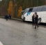 Фото: Госавтоинспекция Свердловской области - АПИ