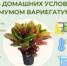 Как ухаживать за купленным цветком в горшке? - Федоровский район