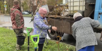 На улицах и в скверах Костромы высадили свыше тысячи молодых деревьев и кустарников - Город Кострома