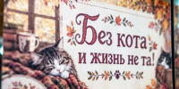 В Сахалинской областной универсальной научной библиотеке им. Н.А. Тарасова открылась декоративно-прикладная выставка «Без кота и жизнь не та!». - Минкультуры Сахалинской области