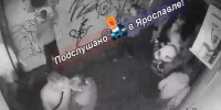 «Нагадили...»: в центре Ярославля толпа молодых людей испортила арку_324587 - YarCube.Ru