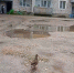 Скрин видео  «Заря Припечорья» - Syktyvkar.1istochnik.Ru