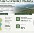 ПОДВЕДЕНЫ ИТОГИ ДИСТАНЦИОННЫХ НАБЛЮДЕНИЙ ЗА 3 КВАРТАЛ 2026 ГОДА - Рослесозащита