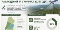 ПОДВЕДЕНЫ ИТОГИ ДИСТАНЦИОННЫХ НАБЛЮДЕНИЙ ЗА 3 КВАРТАЛ 2026 ГОДА - Рослесозащита