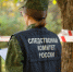 В Тверской области выясняются обстоятельства гибели человека - Следственный комитет